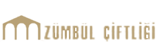 Zumbul